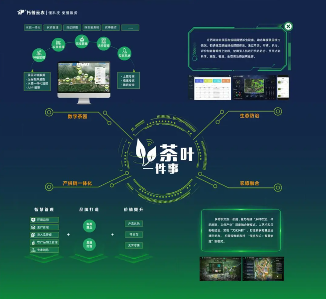 “數(shù)字”賦能茶產(chǎn)業(yè)，“茶葉一件事”續(xù)寫中國(guó)茶發(fā)展新模式